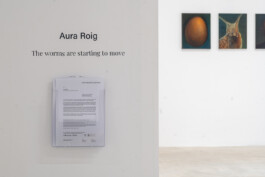 Aura Roig